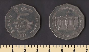 ��� ����� 5 ����� 1981