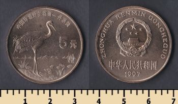 5  1997