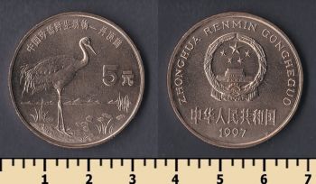  5  1997