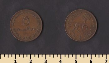 ����� � ����� 5 ������ 1966