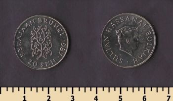 ������ 20 ��� 1987