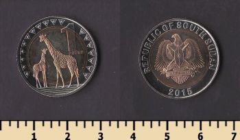 ����� ����� 1 ���� 2015