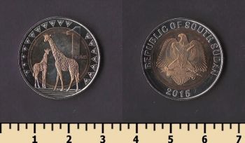 ����� ����� 1 ���� 2015