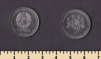 ������������� 1 ����� 2019