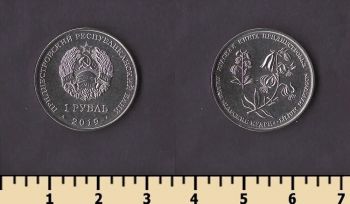 ������������� 1 ����� 2019