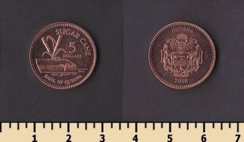 ������ 5 �������� 2008