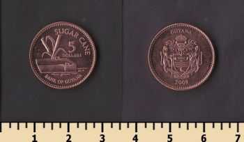 ������ 5 �������� 2008