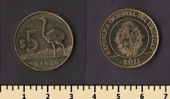 ������� 5 ���� 2011