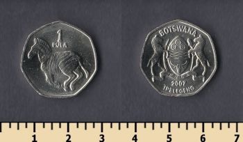  1  2007