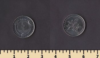 ����-������ ������� 5 ������ 2025