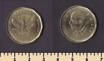 ������ 1 ������ 2026