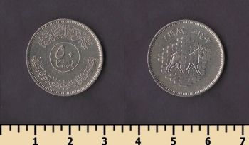 ���� 50 ���� 1982