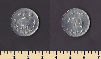 ����� 5 ����� 1975