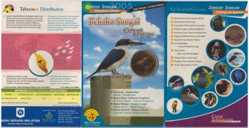 �������� 25 ��� 2004