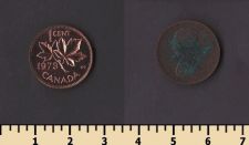 ������ 1 ���� 1973