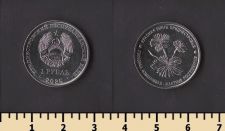 ������������� 1 ����� 2025