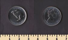 ������ 5 ������ 1967