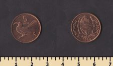 �������� 5 ����� 1984