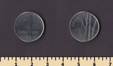 �������� 1 �������� 1981