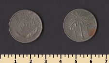 ���� 50 ���� 1981