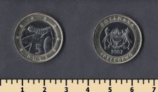  5  2007