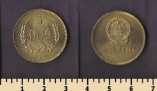 ����� 5 ���� 1981